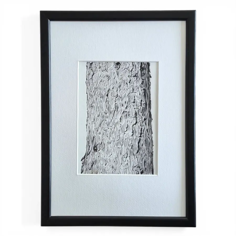 Ağaç Gövdesi Teknik Kalem Fine Art Baskı - 1