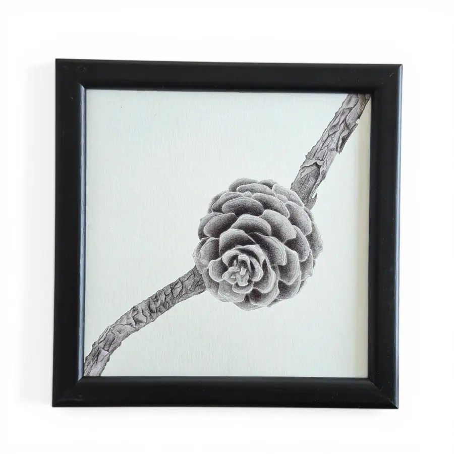 Daldaki Kozalak Fine Art Baskı - 1