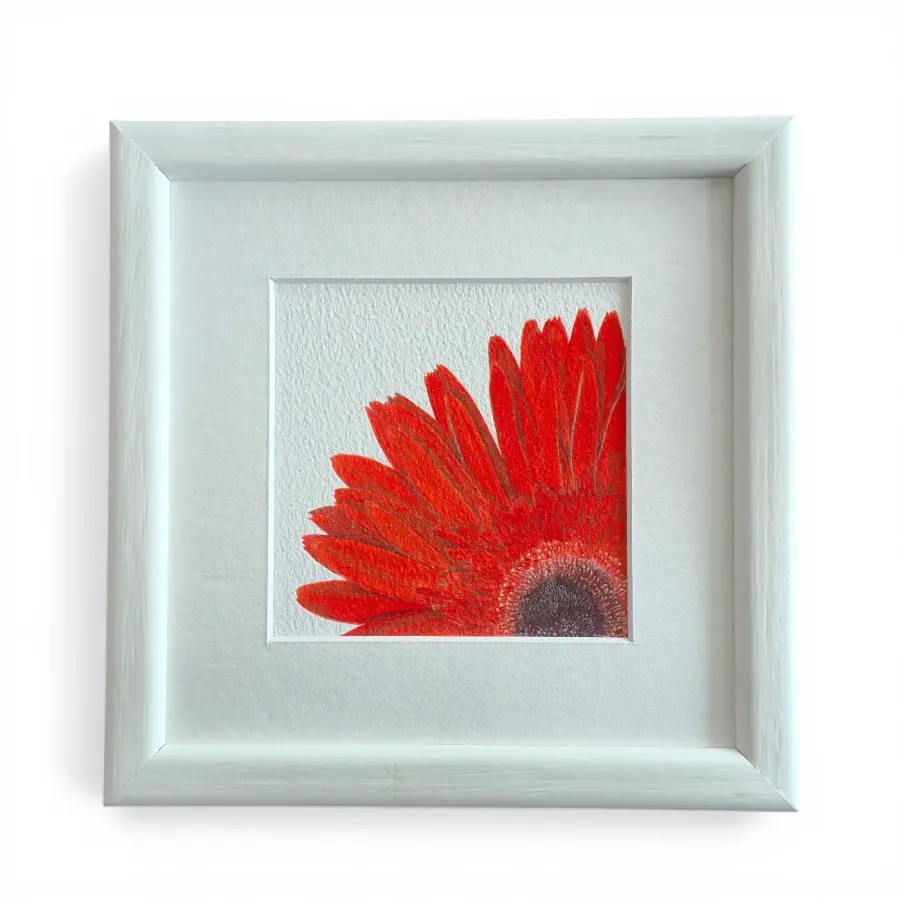 Gerbera Suluboya Fine Art Baskı - 1