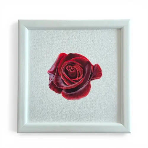 Gül Suluboya Fine Art Baskı
