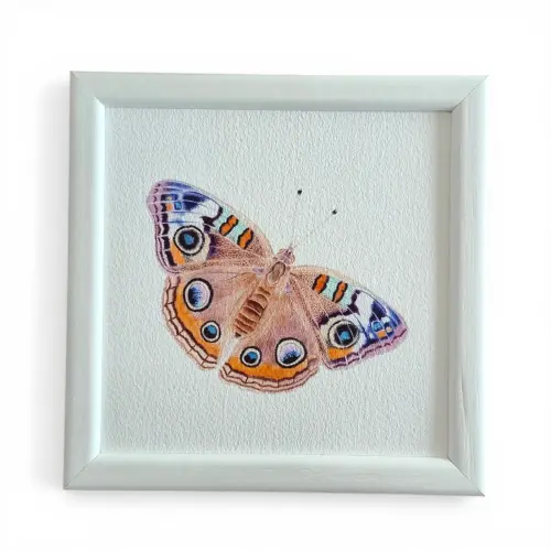 Kelebek Suluboya Fine Art Baskı