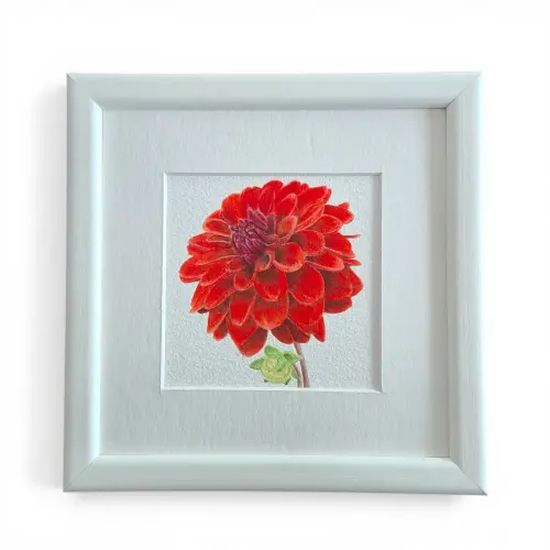 Yıldız Çiçeği Suluboya Fine Art Baskı